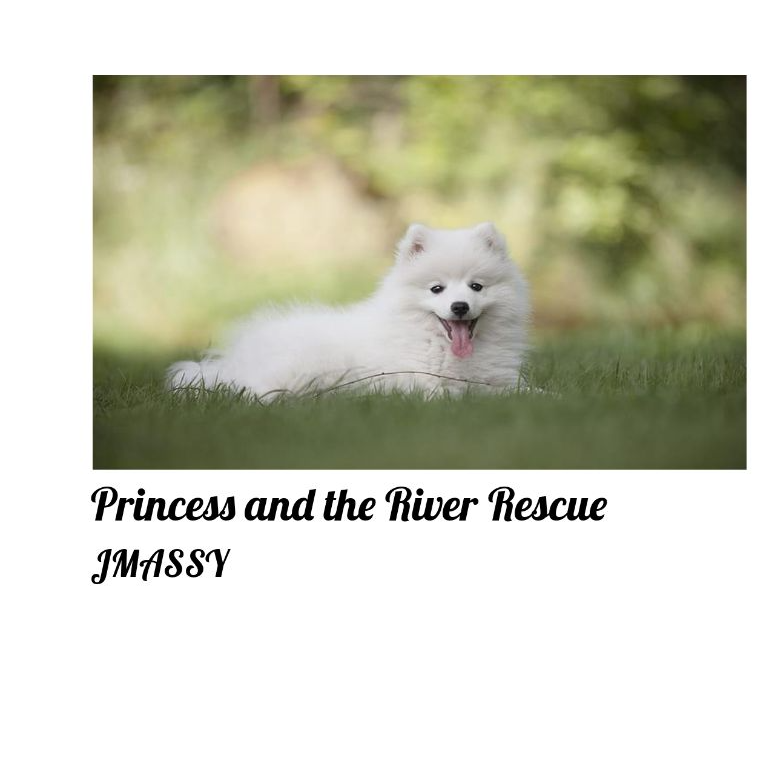 Princess and the River Rescue